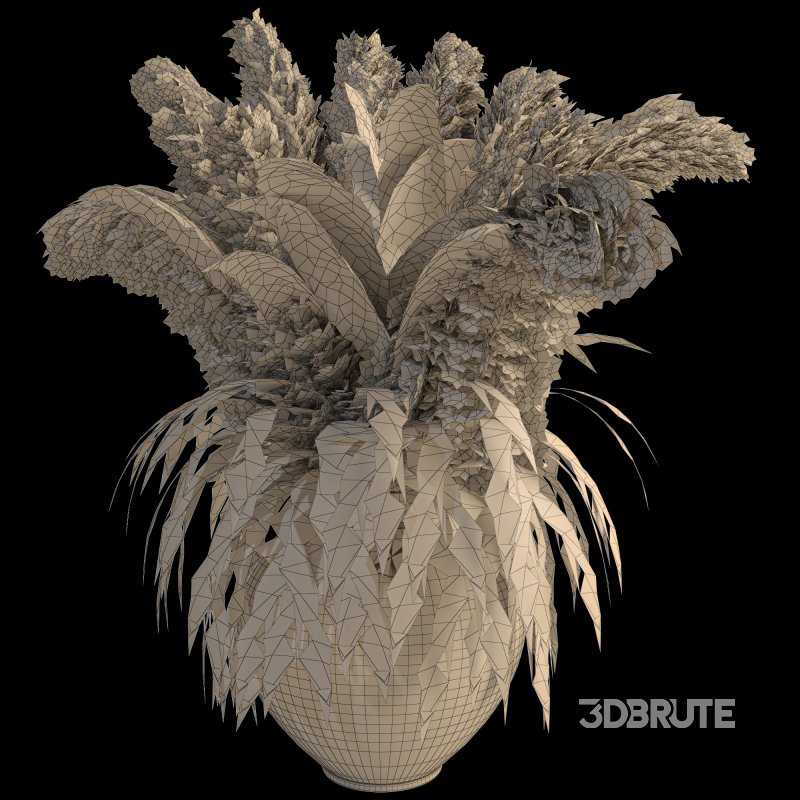 Minimal Pampas Bouquet in Pottery Vase 09 Image 3