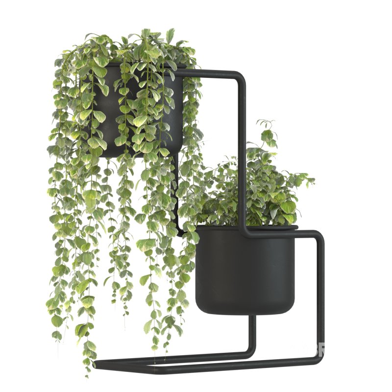 Plant Set 04 Image 4