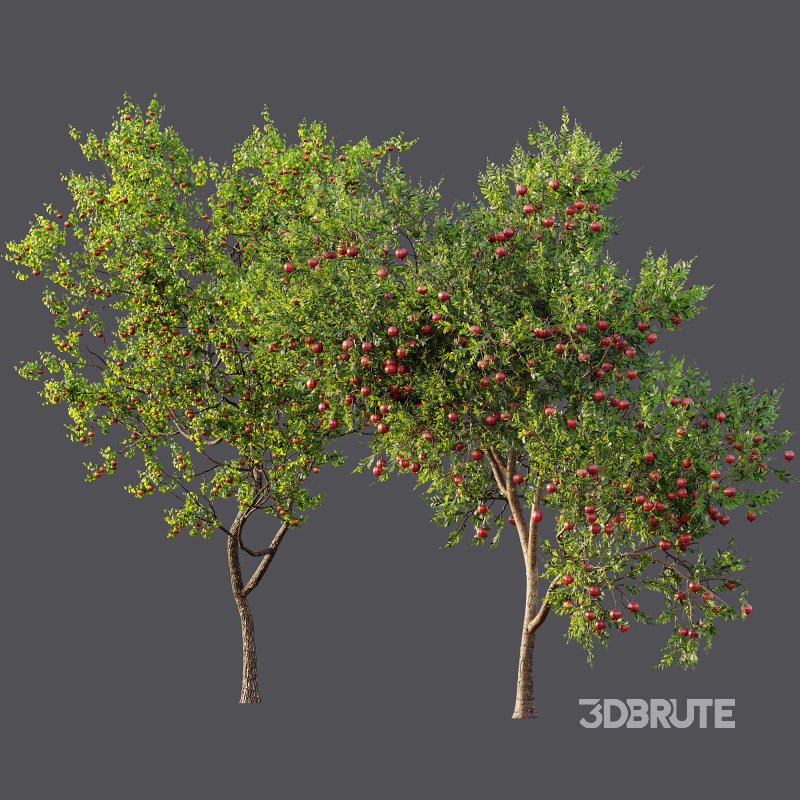 ntal and productive garden designs. Image 16