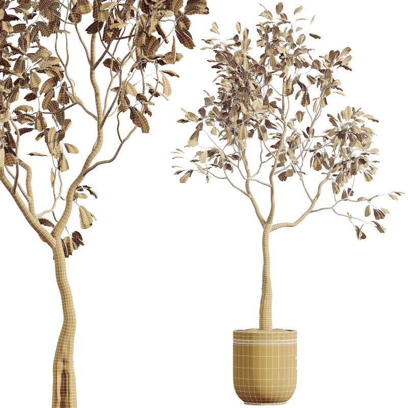 AV Indoor Plants Set 296 Japandi Ficus Dracaena Marginata and Areca Cat Reed Palm Image 8