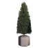 Pine Tree Outdoor Plant Set 07 - Thumbnail 4