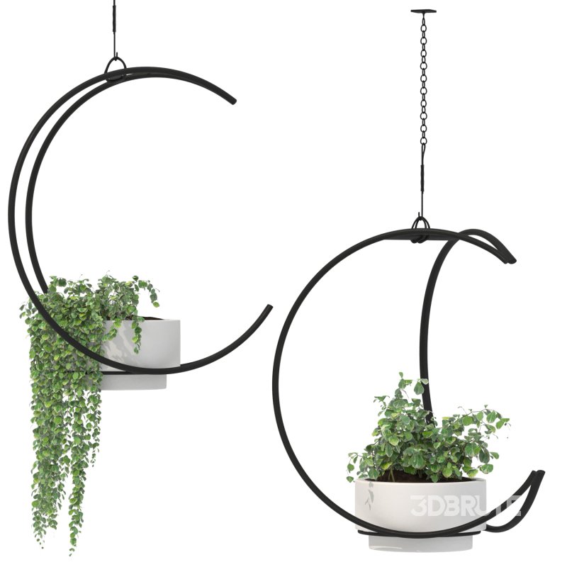 Metal Hanging Plants 04 Image 3