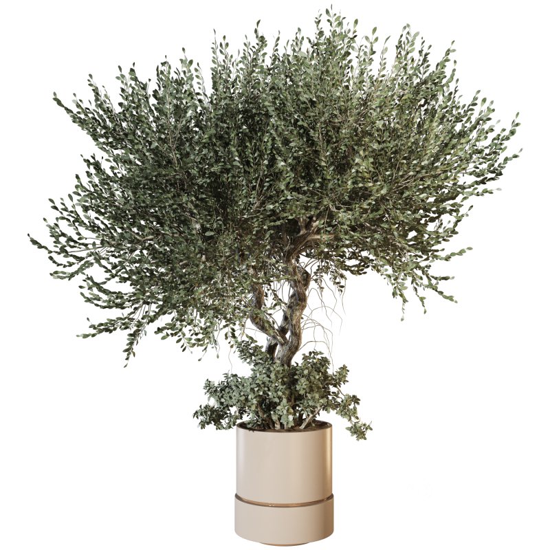 Decorative Indoor Plant and Ivy Branches in Pot Image 1