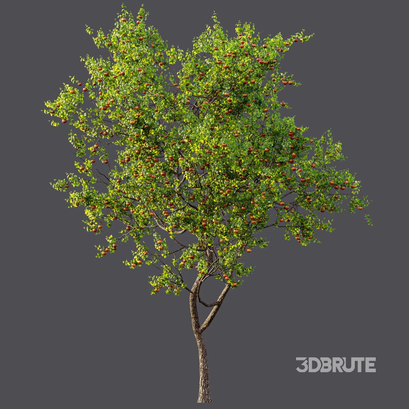 ntal and productive garden designs. Image 11