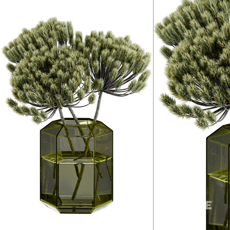 Pampas in Vase Image 1