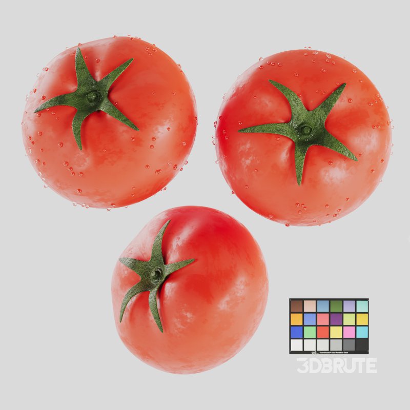 Tomato Image 1