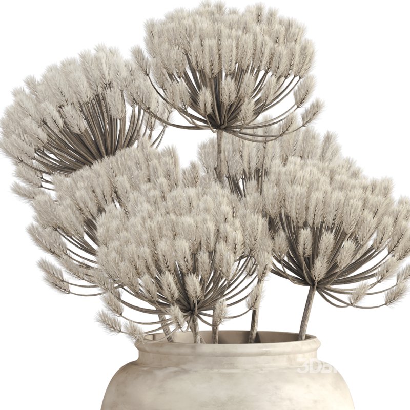 Minimal Pampas Bouquet in Vase Image 3