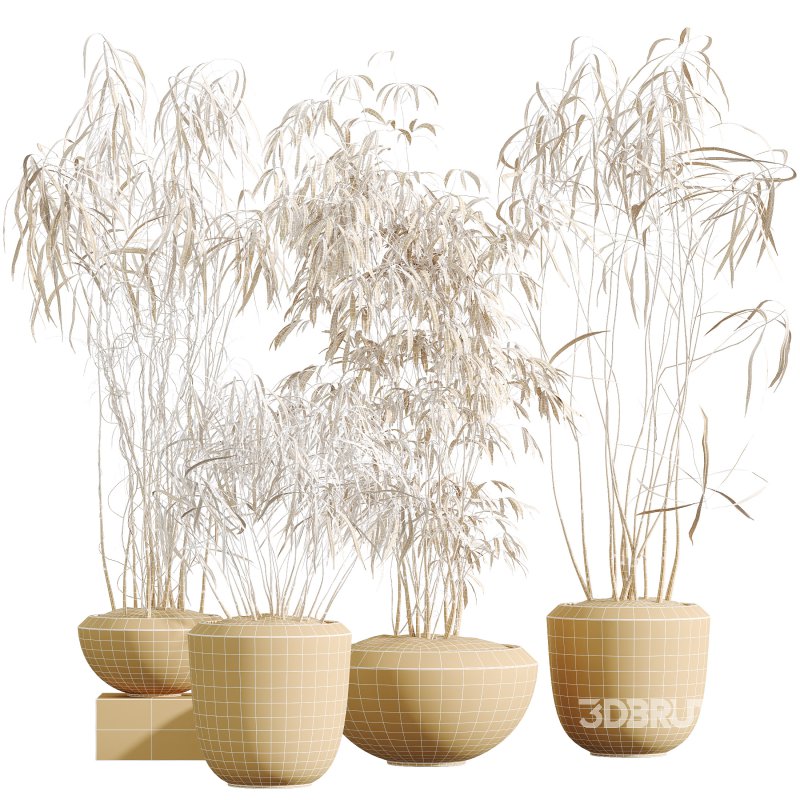 AV Indoor Plants Set 300 Japandi Decorative Minimalism Ficus Dracaena Marginata Image 7