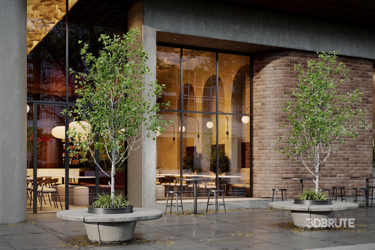 Coffee Shop 3D Model – Interior & Exterior | 3ds Max + Corona Renderer Image 5