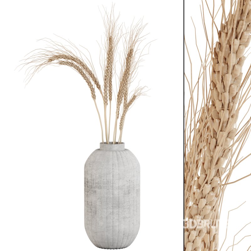 Pampas and Wheat Plant in Decorative Vase Image 4
