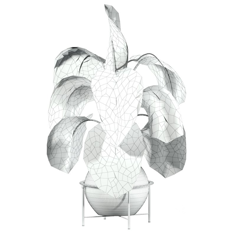 potted plant Image 4