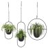 Metal Hanging Plants 02 - Thumbnail 1