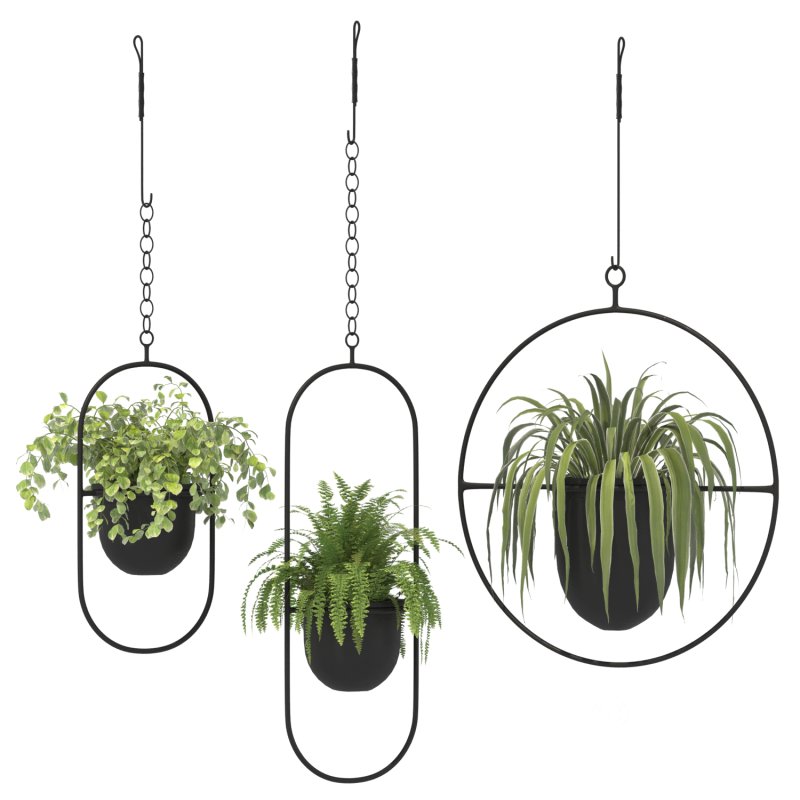 Metal Hanging Plants 02 Image 1