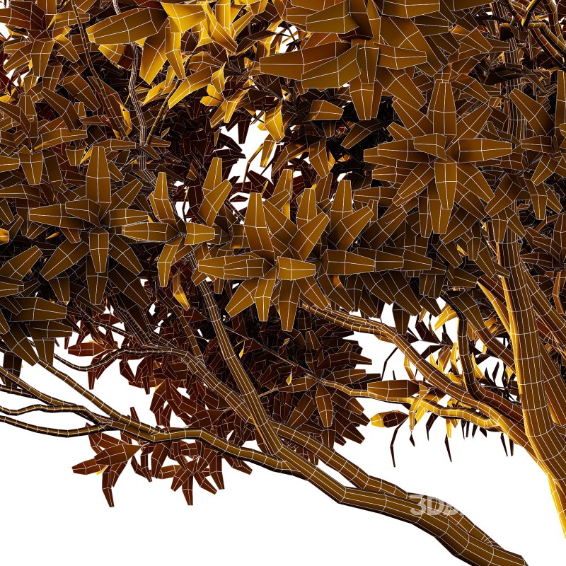 Different Trees 30 Image 6