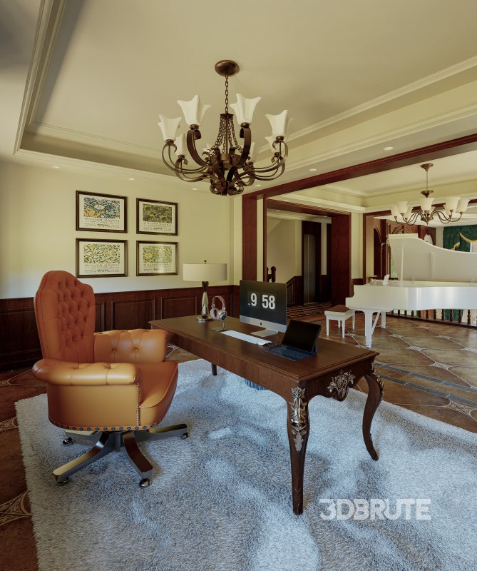 Luxury Classic Villa Image 5