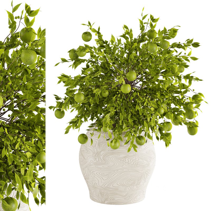 Apple Decoration Set Image 3