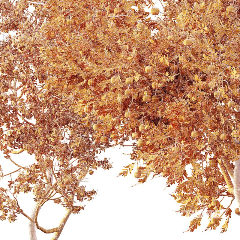 ntal and productive garden designs. Image 17