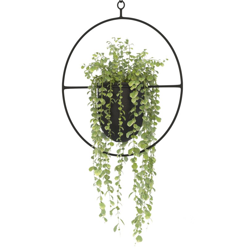 Metal Hanging Plants 01 Image 5