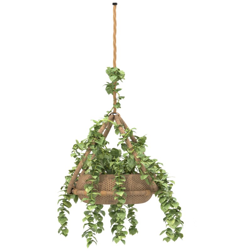boho hanging plant 02 Image 2