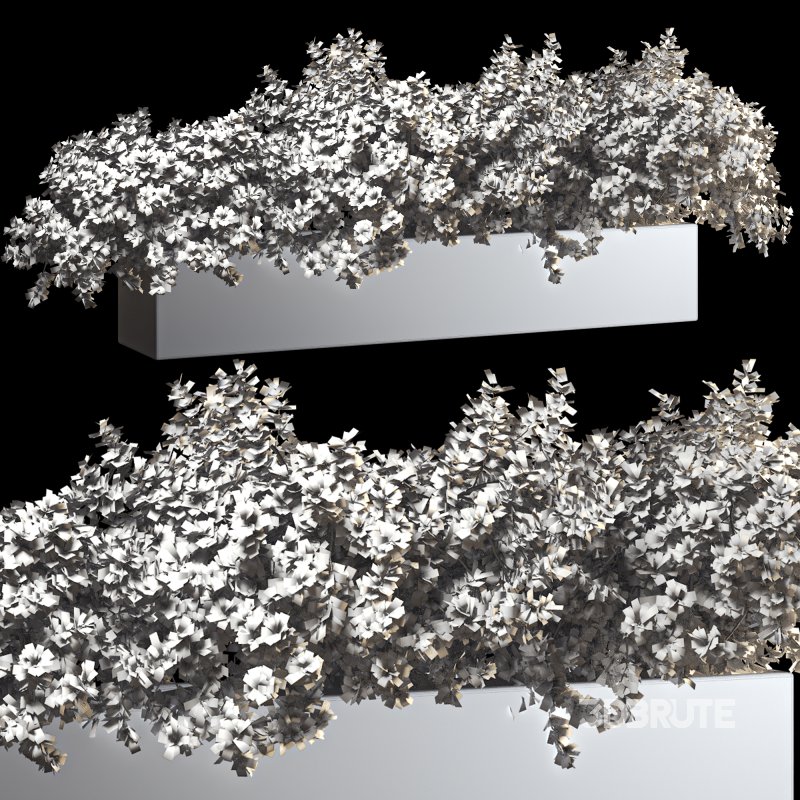 Outdoor Bush Collection in Pot 011 Image 6