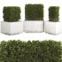 Hedge Set 01 - Thumbnail 1