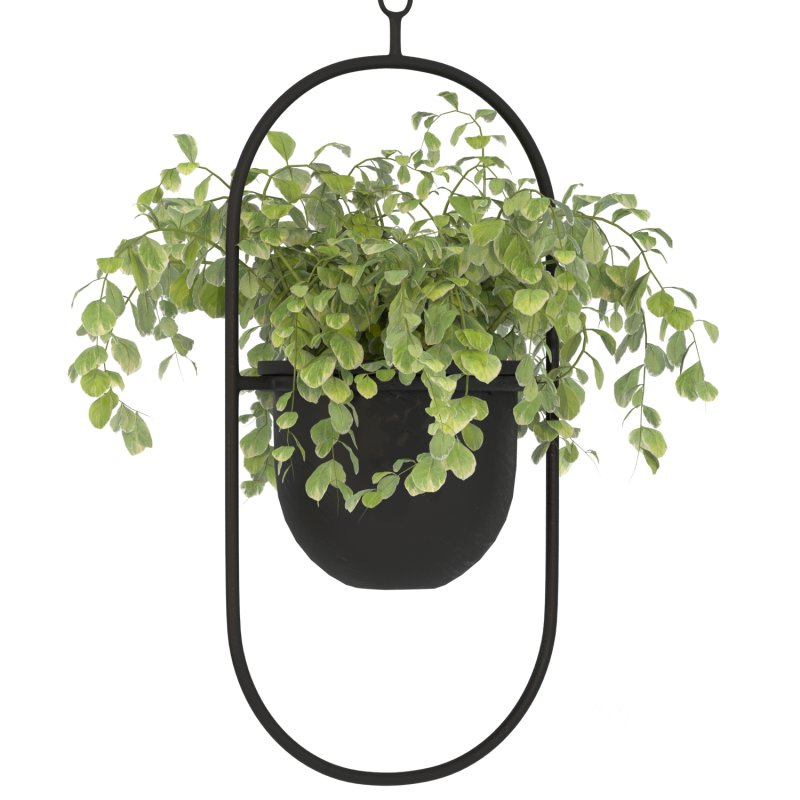Metal Hanging Plants 01 Image 4