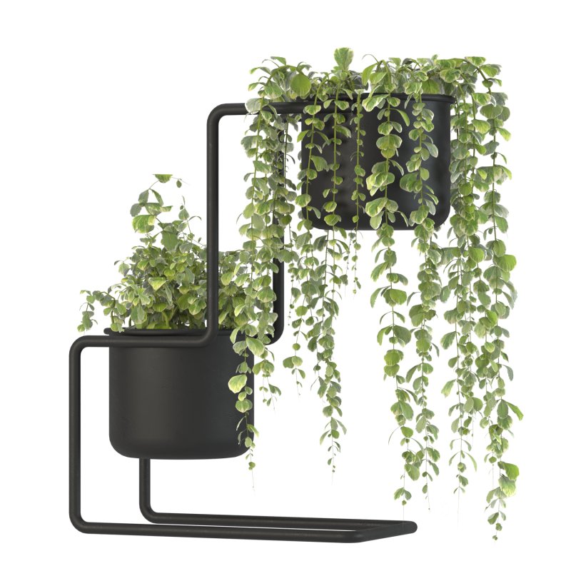 Plant Set 04 Image 6