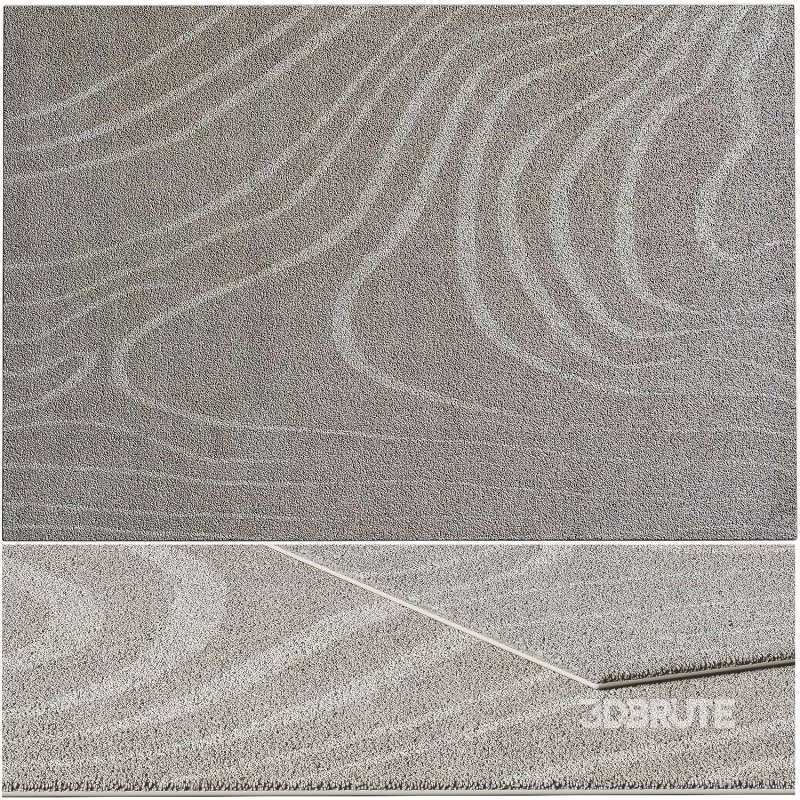 Carpet R1 Image 2