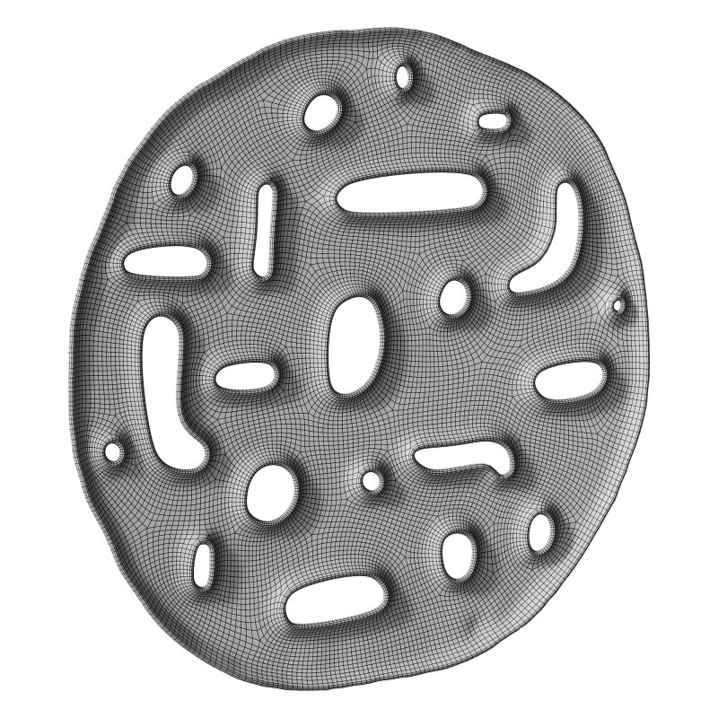 Sculpture 12 Image 4