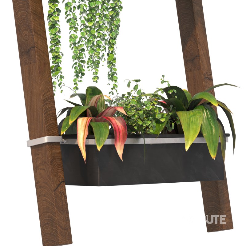 Plant Set 05 Image 5