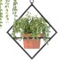 Boho Hanging Plants 03 - Thumbnail 7