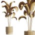 AV Indoor Plants Set 289 Fruit Orange Tree and Areca Palm and Banana Nicolai and Olive - Thumbnail 7