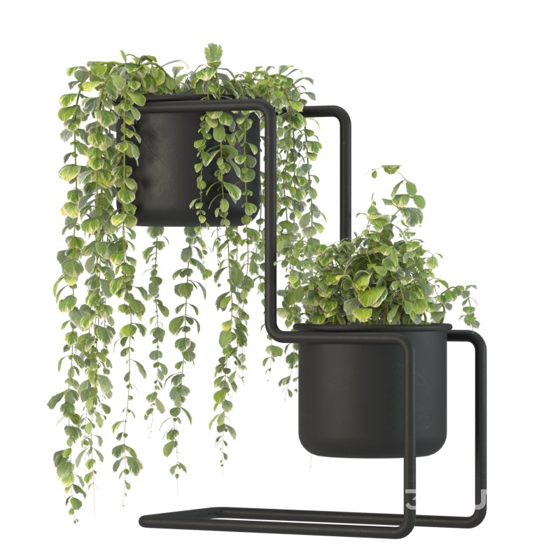 Plant Set 04 Image 3