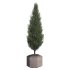 Pine Tree Outdoor Plant Set 07 - Thumbnail 2