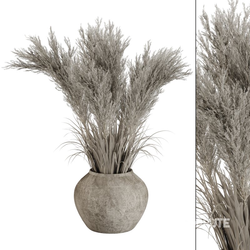 Minimal Pampas Bouquet in Pottery Vase 02 Image 1