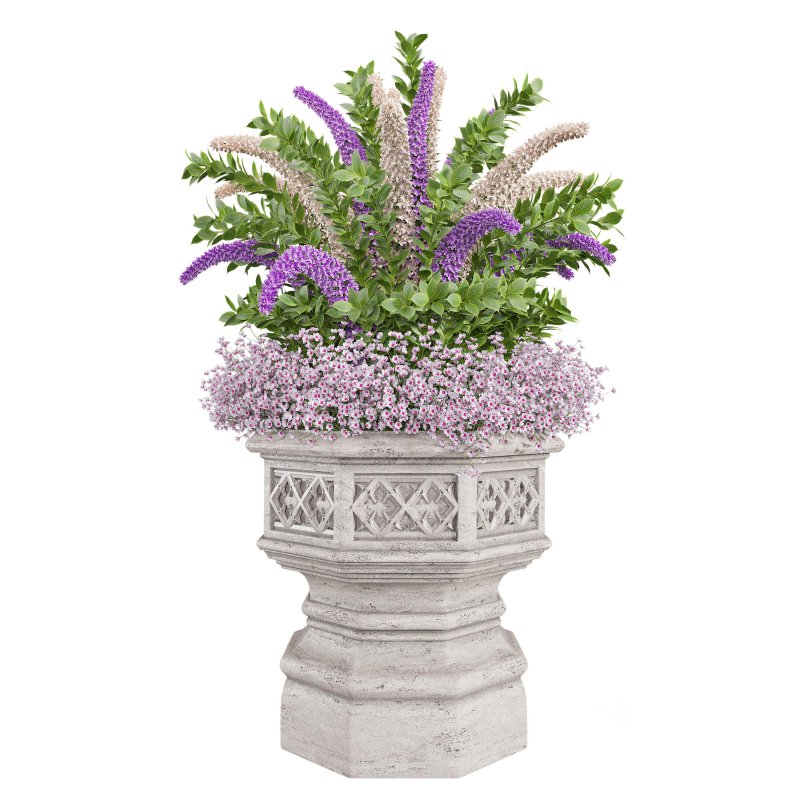 Outdoor plants set 01 Image 1