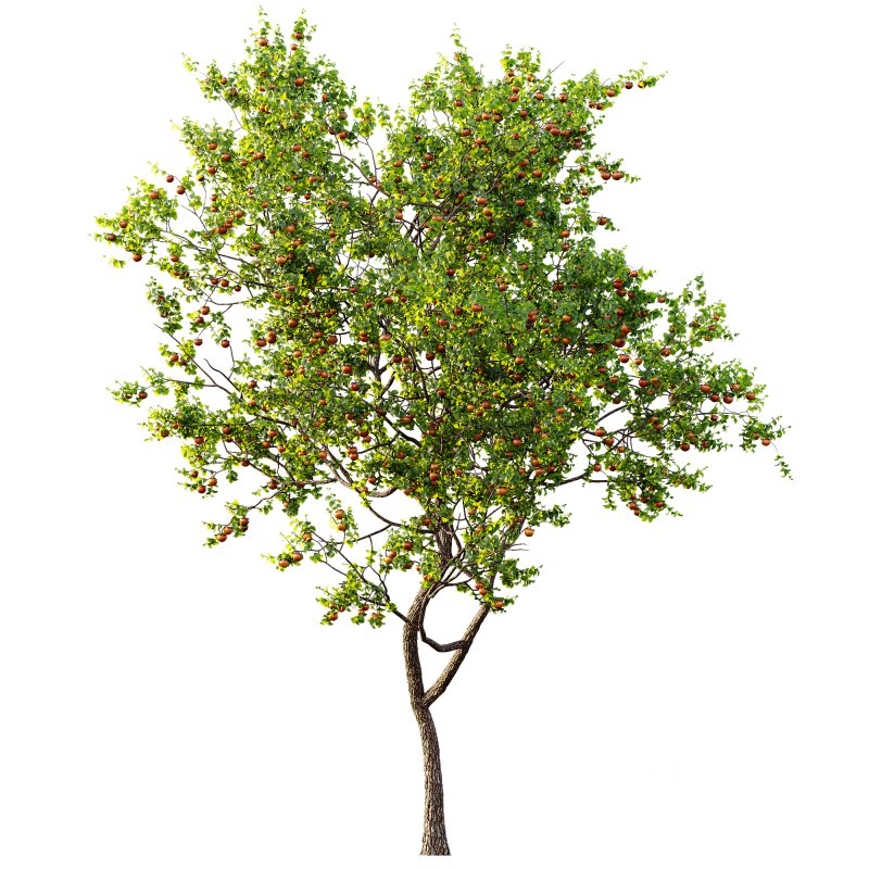 ntal and productive garden designs. Image 4