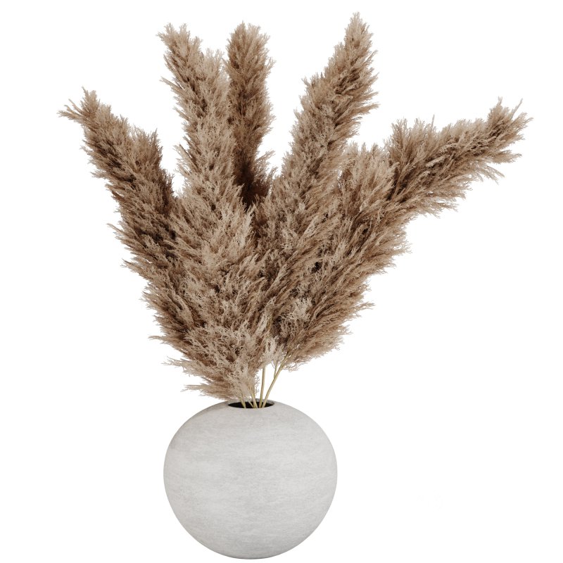 Pampas Plants in White Vase Image 1