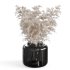 Pampas Bouquet with IKEA Vase - Thumbnail 1