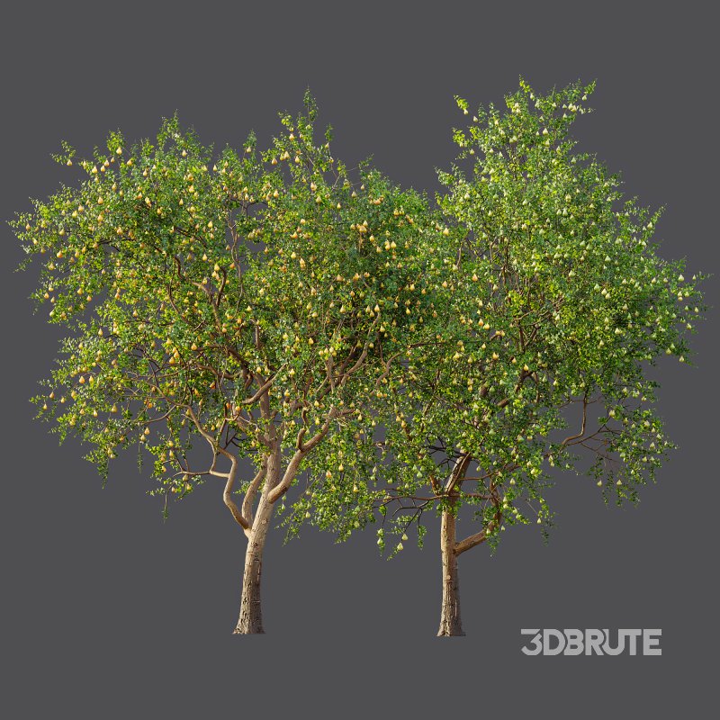 ntal presence. Image 8