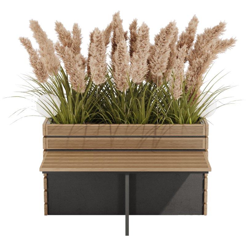 Outdoor Pampas And Grass Plants Set Image 3