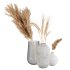 Pampas and Wheat Plant in Decorative Vase - Thumbnail 2