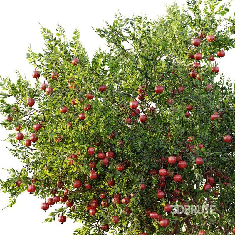 ntal and productive garden designs. Image 6