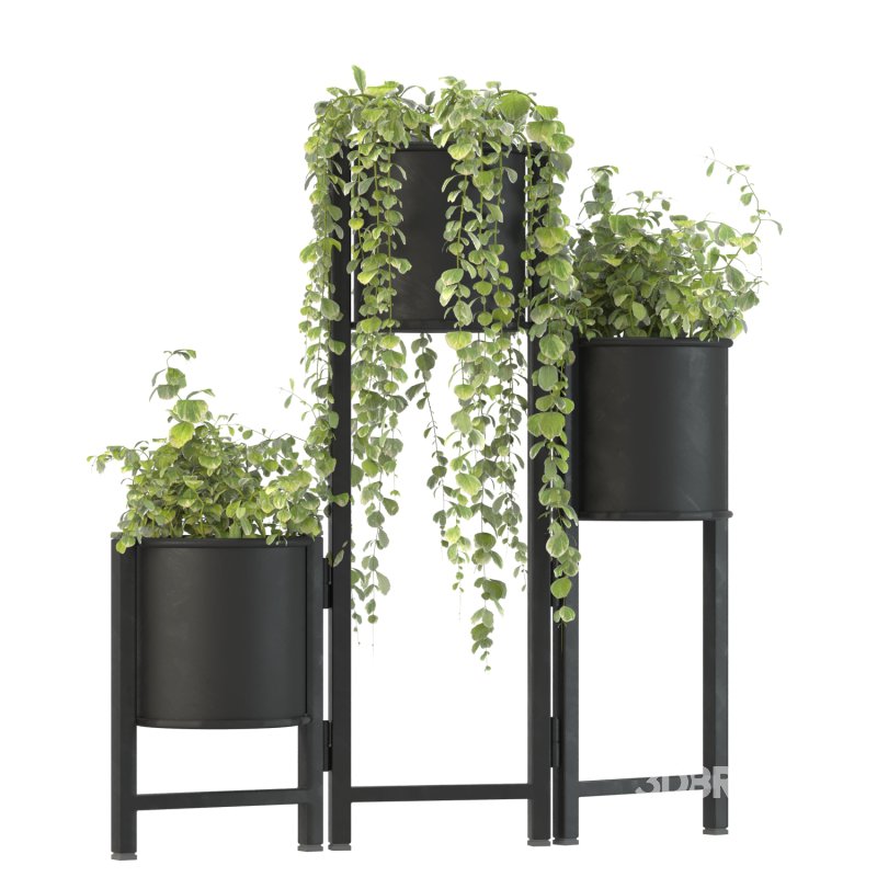 Plant Set 03 Image 5