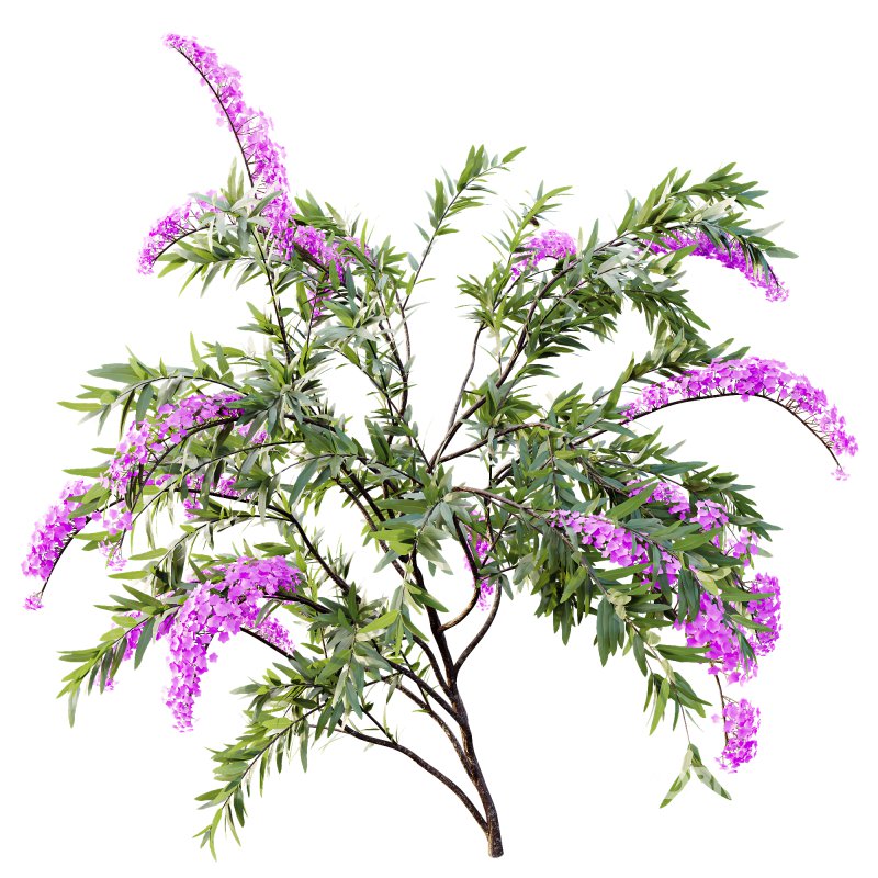 ntal garden design. Image 1