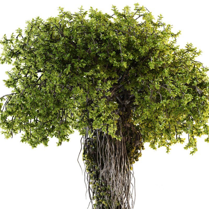 Ivy Branches in Cement Pot Image 3