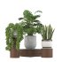 Plant Set 02 - Thumbnail 2
