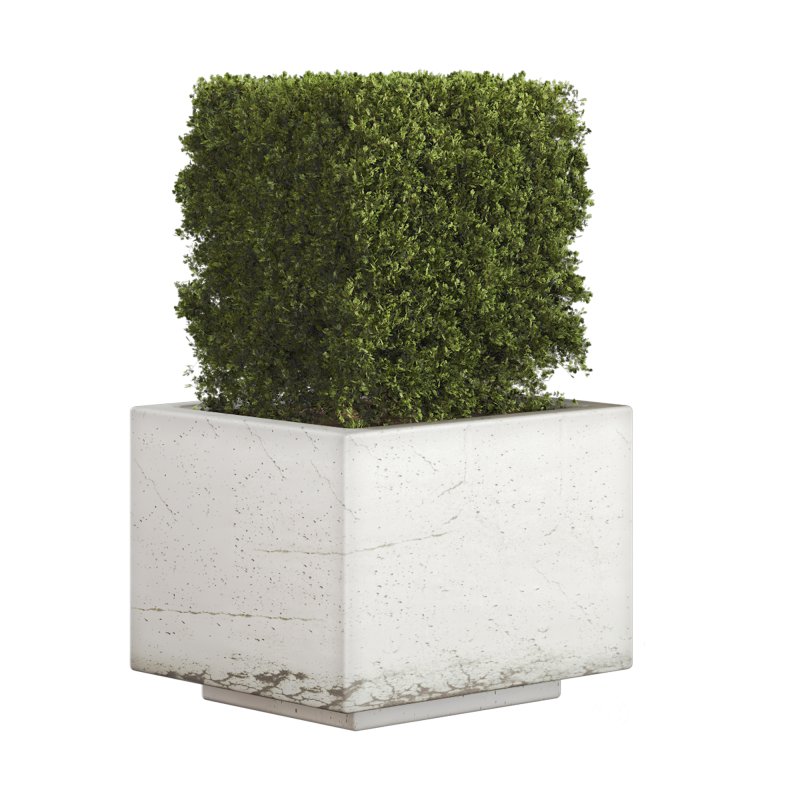 Hedge Set 01 Image 2