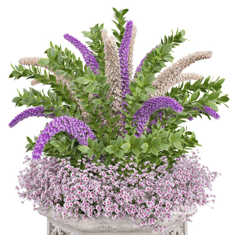 Outdoor plants set 01 Image 2