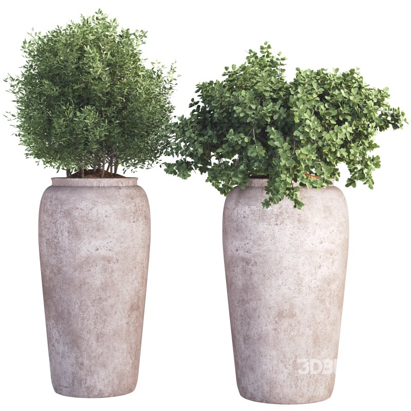 Outdoor Plant 010 Image 1